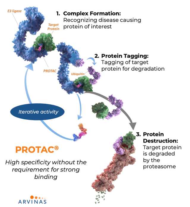 PROTAC Mechanism