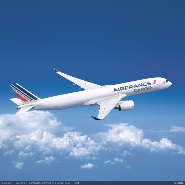 Cette photo montre un Airbus A350F cargo aux couleurs d'Air France.