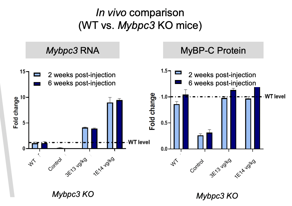 In vivo comparison