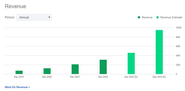 SOUN Revenues