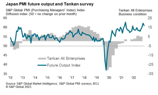 Japan PMI future output and Tankan survey