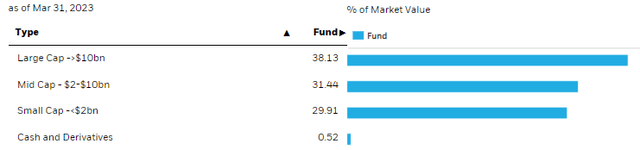 BIGZ Market Cap Allocation