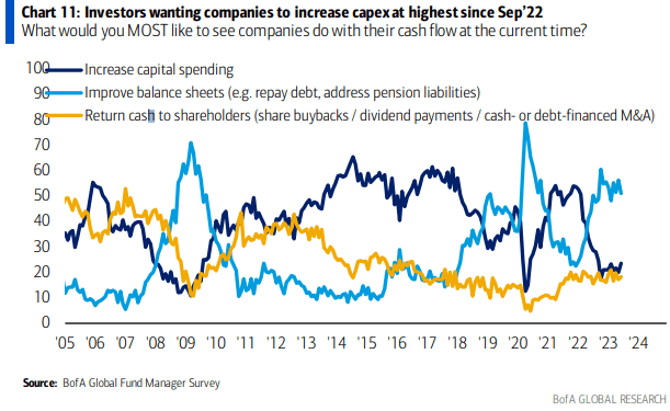 Capex Plans Ahead?