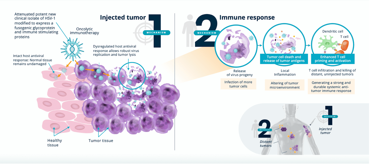 Replimune The Rise Of Oncolytic Virus Therapies In Cancer Treatment