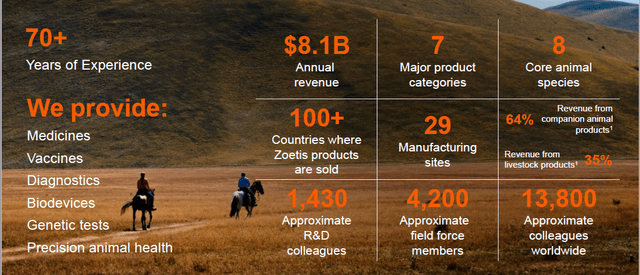 Company Overview