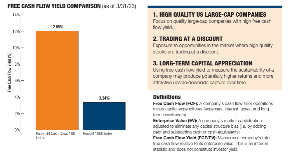 U.S. Cash Flow Kings 100 ETF (FLOW)