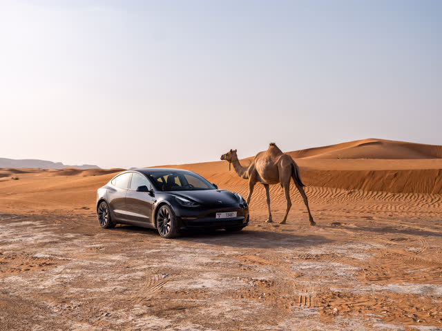 car and camel