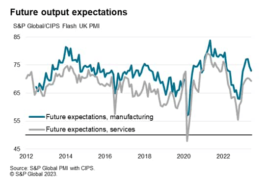 Future output expectations
