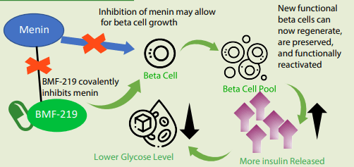 MOA of BMF-219