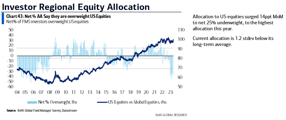 Equity Allocation