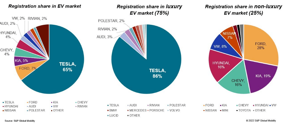 The Market Share Among EV Manufacturers