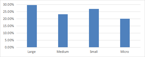 Size segments