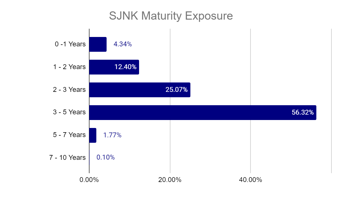SNJK Maturity Ladder