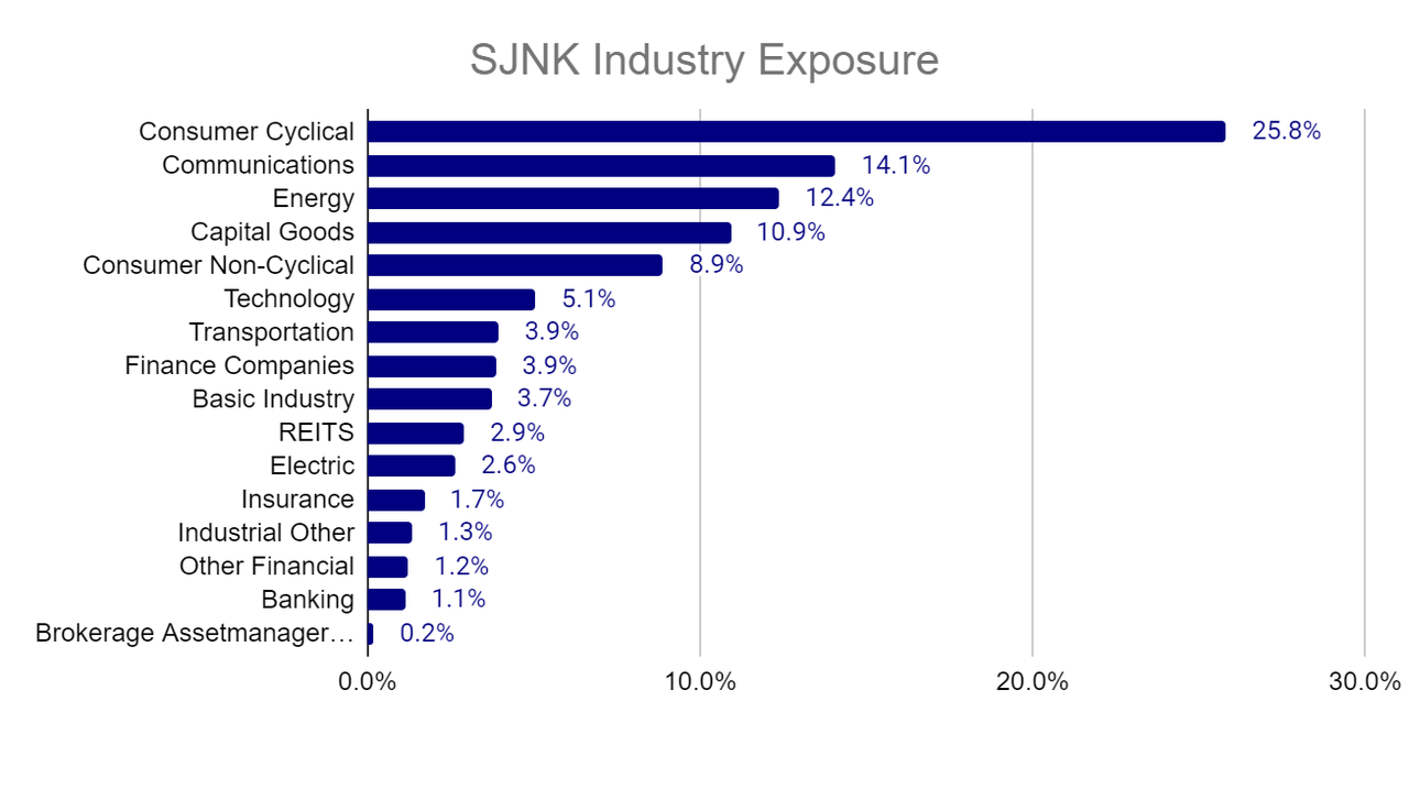SNJK Industry Exposure