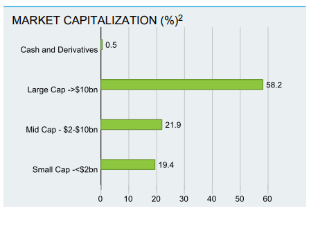 Market cap distribution of BMEZ funds