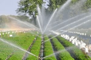 Irrigation system