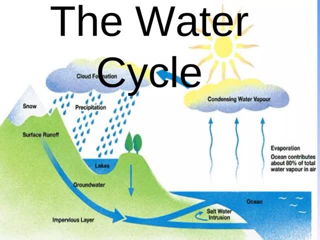 Image of water cycle