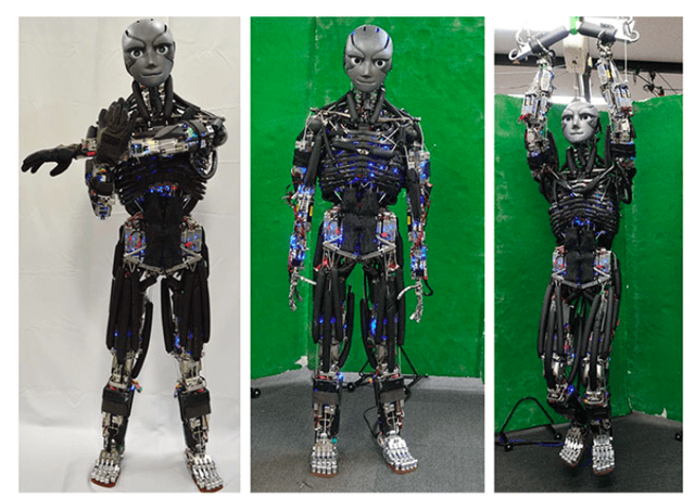 Kengoro the "Boy" robot