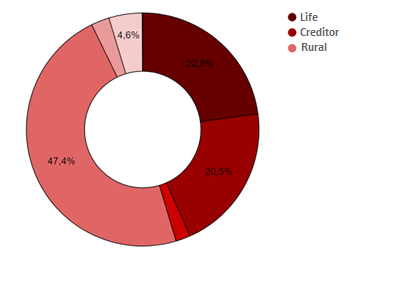 Pie chart showing premiums issued by source.