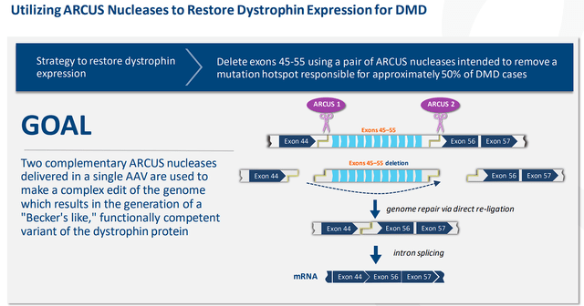 Precision Biosciences DMD Strategy