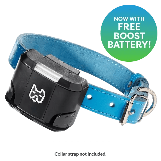 SigmaTron Goodbye Pet Tech Biz, Hello 30 Million EBITDA (NASDAQSGMA