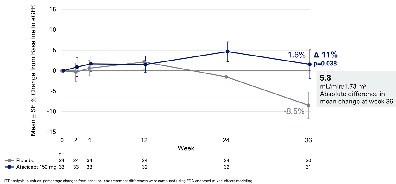 eGFR % Change With Atacicept 150 mg Through Week 36