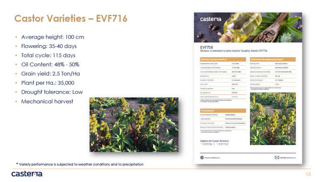 EVF 716- Castor seed variety