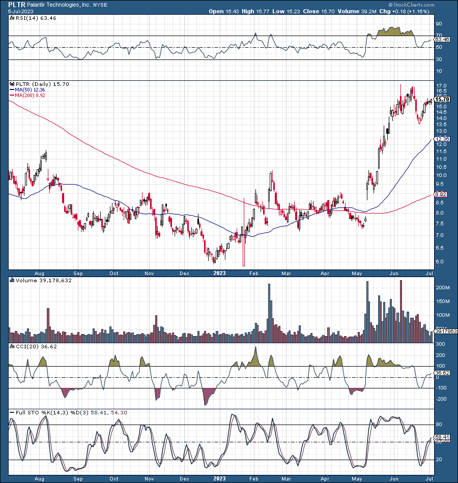 Palantir Stock Forecast For 2025: What To Consider (NYSE:PLTR)