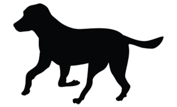 KING (2) KDOG AUG/23 Open source dog art (8) from dividenddogcatcher.com
