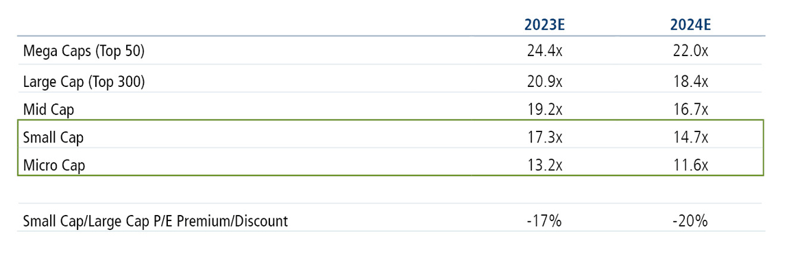 small caps and micro caps valuations