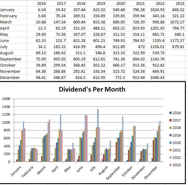 Dividend Reinvestment Program