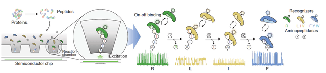 qsi method