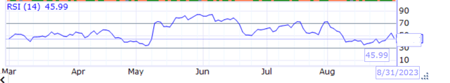 PLTR RSI