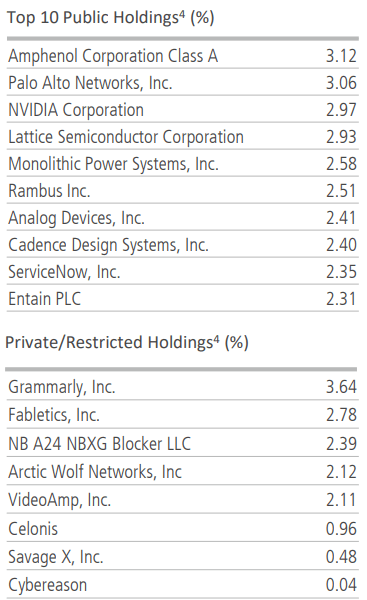 Top holdings of the fund