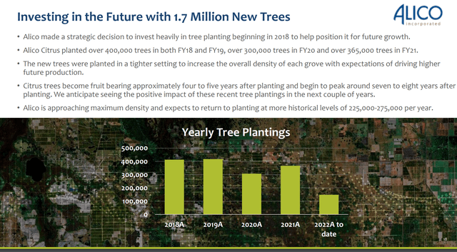 Alico has planted 1.7 million additional trees since 2017
