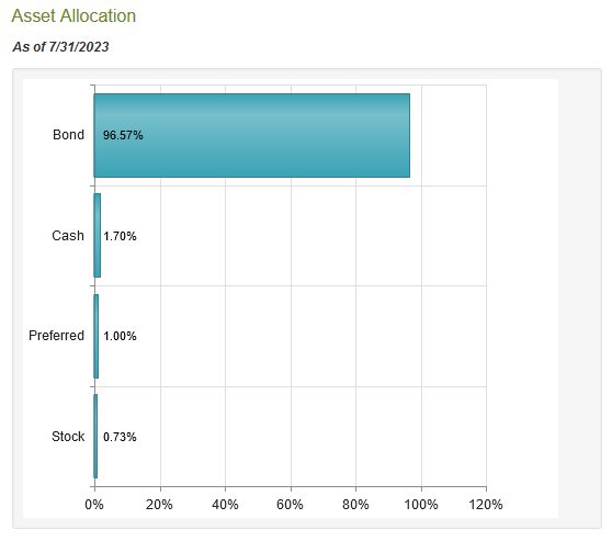 DLY Asset Allocation