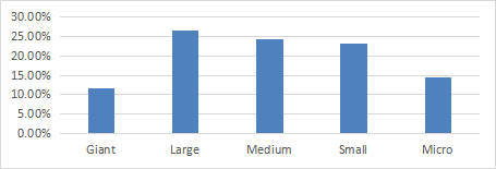 % of asset value by size segment