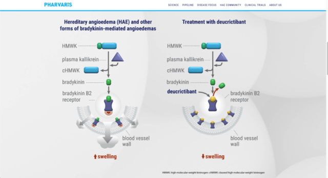 pharvaris mechanism