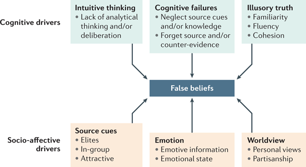Drivers of False Group Beliefs