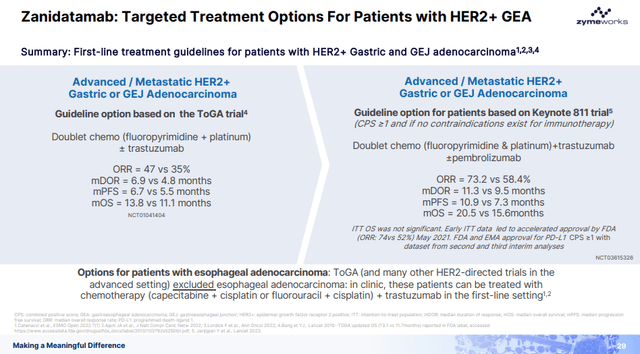 Targeted treatment options for patients with HER2 positive GEA