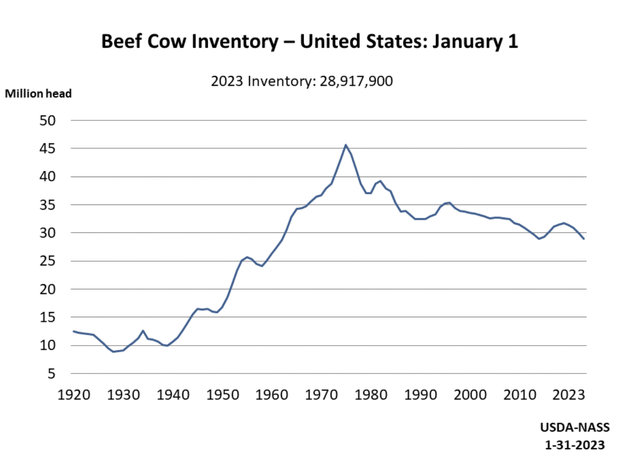 herd of beef cattle