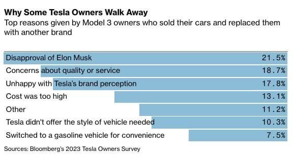 Bloomberg Tesla Owners