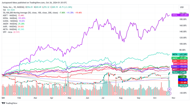 TSLA YTD Stock Price