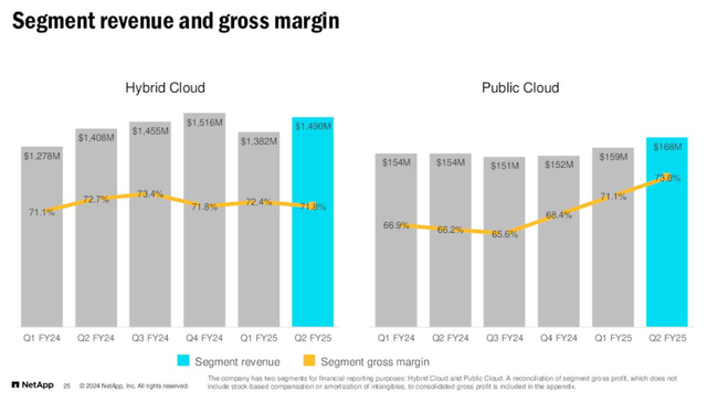 FYQ2 2025 gross margin by segment