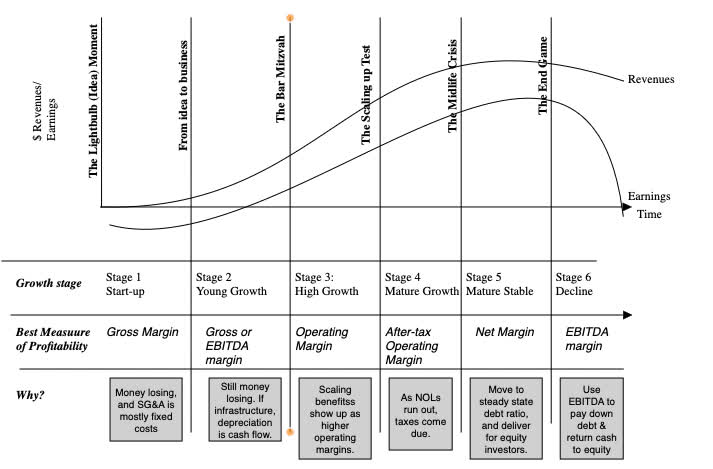 Life cycle seen through the lens of profit margins