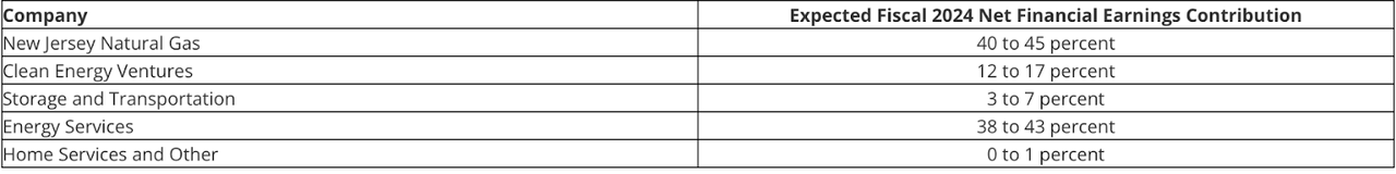 Company segment revenue division
