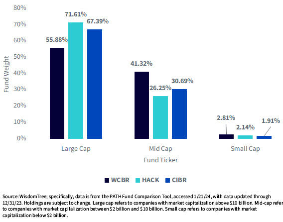 Exposure to Companies outside of Large Caps