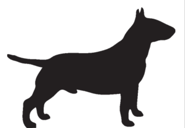 YBUF (2)DDDOG FEB,26 Open source dog art DDC 4 from dividenddogcatcher.com