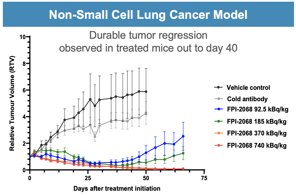 NSCLC model