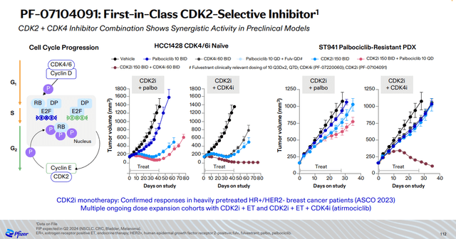 Synergistic effects of a CDK2 inhibitor in combination with a CDK4 inhibitor